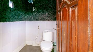 A bathroom with a toilet, a green wall, and a wooden door.