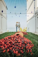 A garden with red flowers and a netted structure overhead.