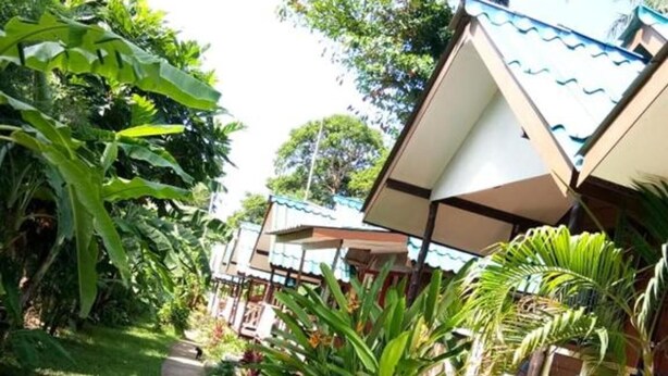 A pathway leading to a row of bungalow-style accommodations surrounded by lush tropical vegetation. - X-BAR and Bungalow (Trat)