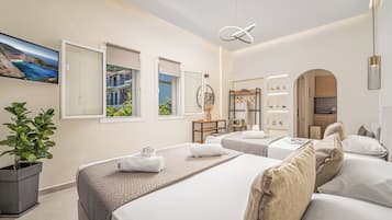 Luxury Room
