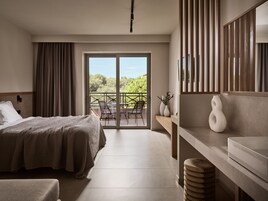 Superior Plus Room | Vista dalla camera