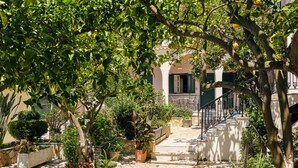 A courtyard with stone flooring, potted plants, and a staircase leading to a building with a green door and white shutters. - Alamis Hotel & Apartments (Zakynthos)