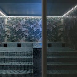 Bain à remous privé
