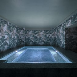 Bain à remous privé