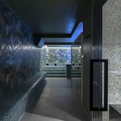 Sauna, hot tub, steam room, body treatments, deep-tissue massages