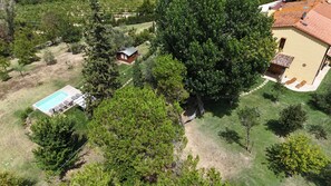 An aerial view of a property with a swimming pool, a small cabin, and a large tree.
