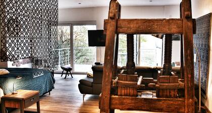 Exceptional loft with large outdoor terrace