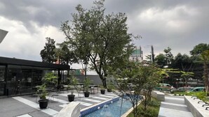 Un área de piscina al aire libre con borde curvo, rodeada de plantas en macetas y un árbol.