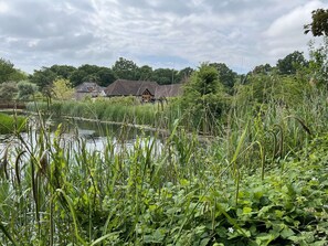 Property grounds - Within the South Downs National Park, 7 miles north of Brighton. (Hassocks)