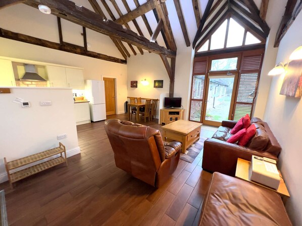 تلفزيون، مشغل دي في دي، كُتُب