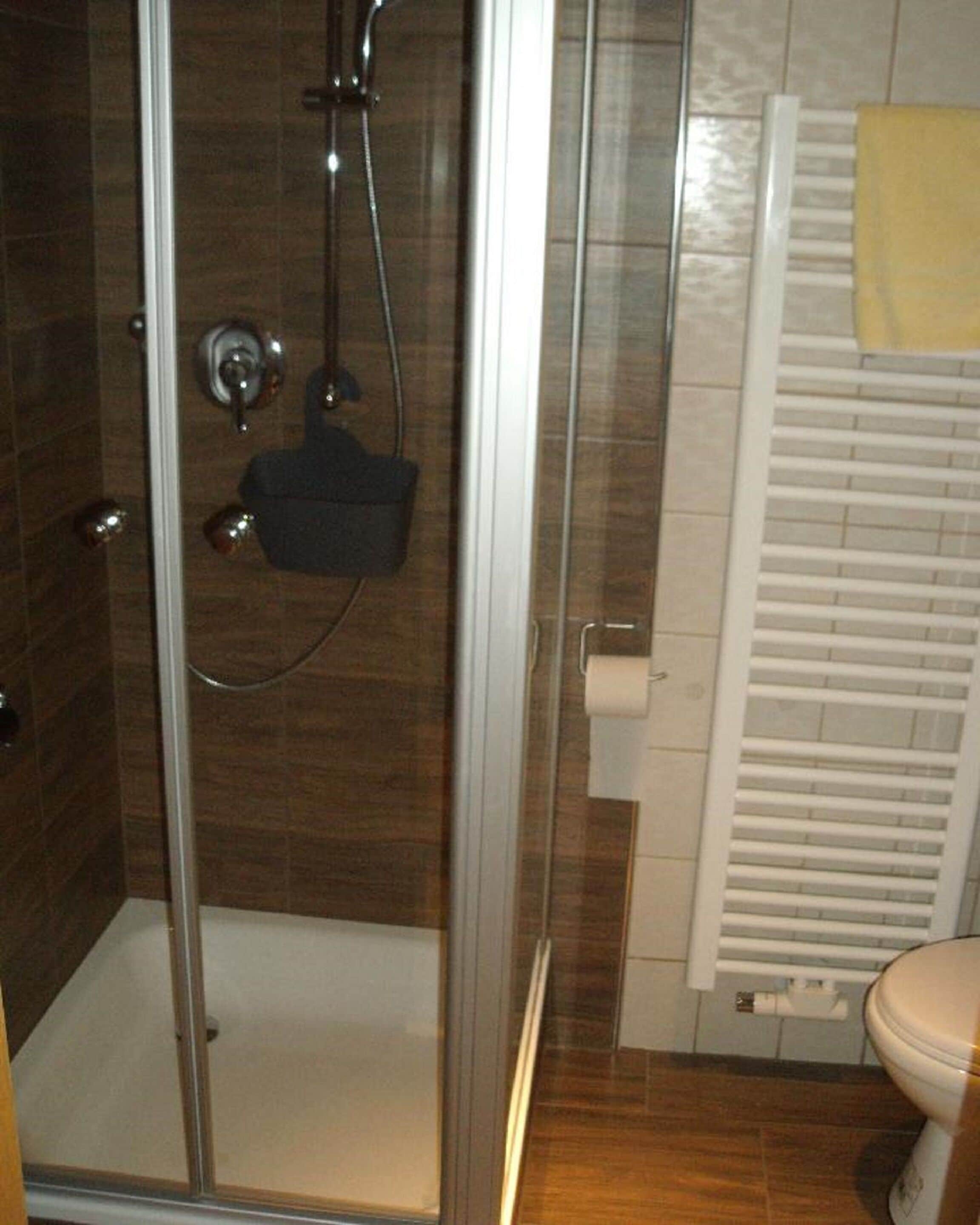 A bathroom with a glass-enclosed shower, a toilet, and a towel rack.