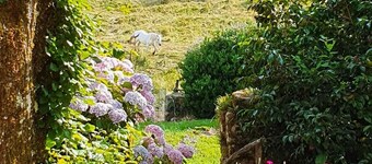 A valley in the heart of the village