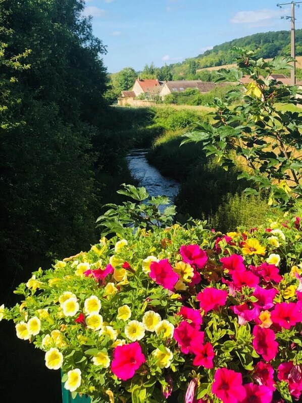 Property grounds - Le Gite du Pigeonnier (VILLENAUXE LA GRANDE)