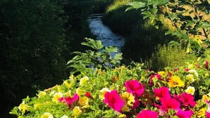 A river with houses in the background and a garden with colorful flowers in the foreground.