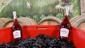 Two bottles of wine labeled 'Wirtz' in a red crate filled with grapes, set against a backdrop of a vineyard scene.