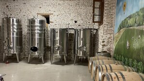 Stainless steel fermentation tanks and wooden barrels in a stone-walled room.