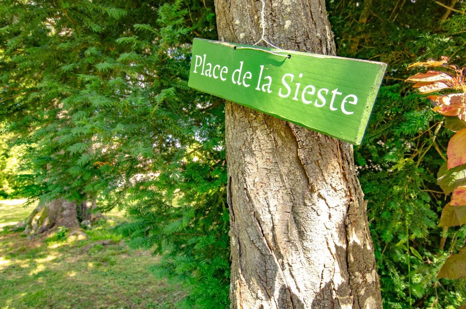 A wooden sign with the text "Place de la Sieste" attached to a tree.