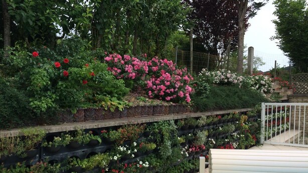 A tiered garden with various plants and flowers, a pool, and a fence.