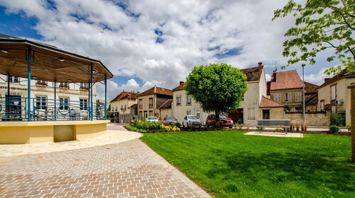 Gite de la Barse - VENDEUVRE SUR BARSE