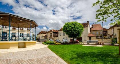 Gite de la Barse - VENDEUVRE SUR BARSE