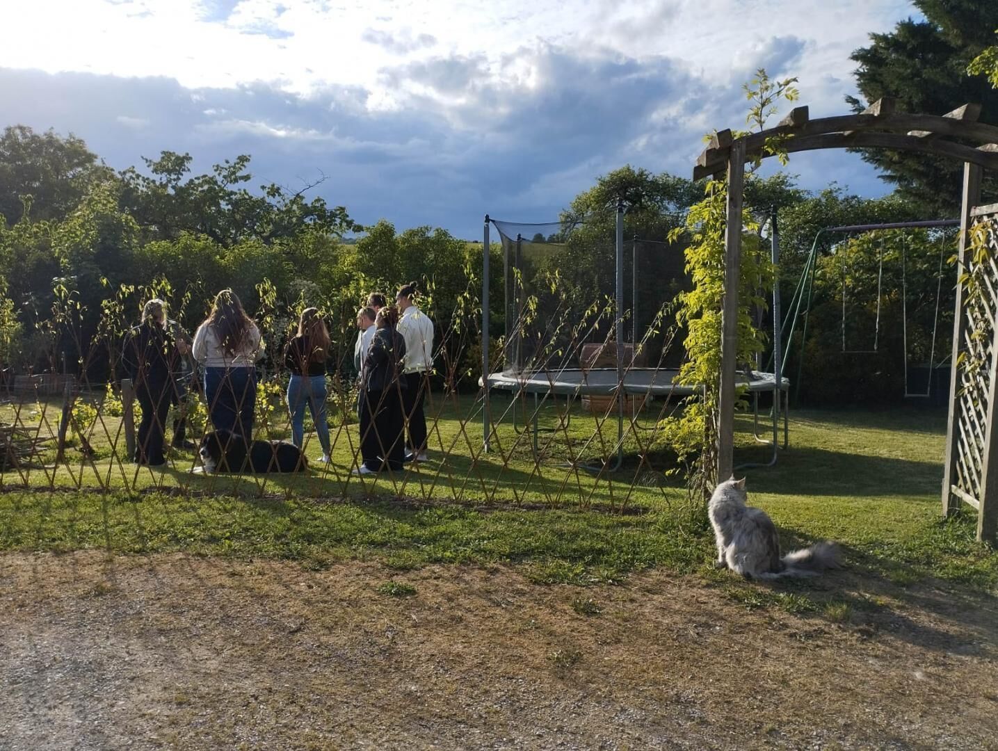 A group of people in a garden with a swing set and a dog.