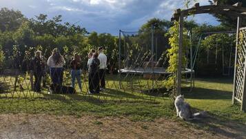 A group of people in a garden with a swing set and a dog.
