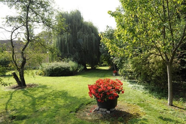 Property grounds - Les Saules Calais - Saint Remy Sous Barbuise (SAINT REMY SOUS BARBUISE)