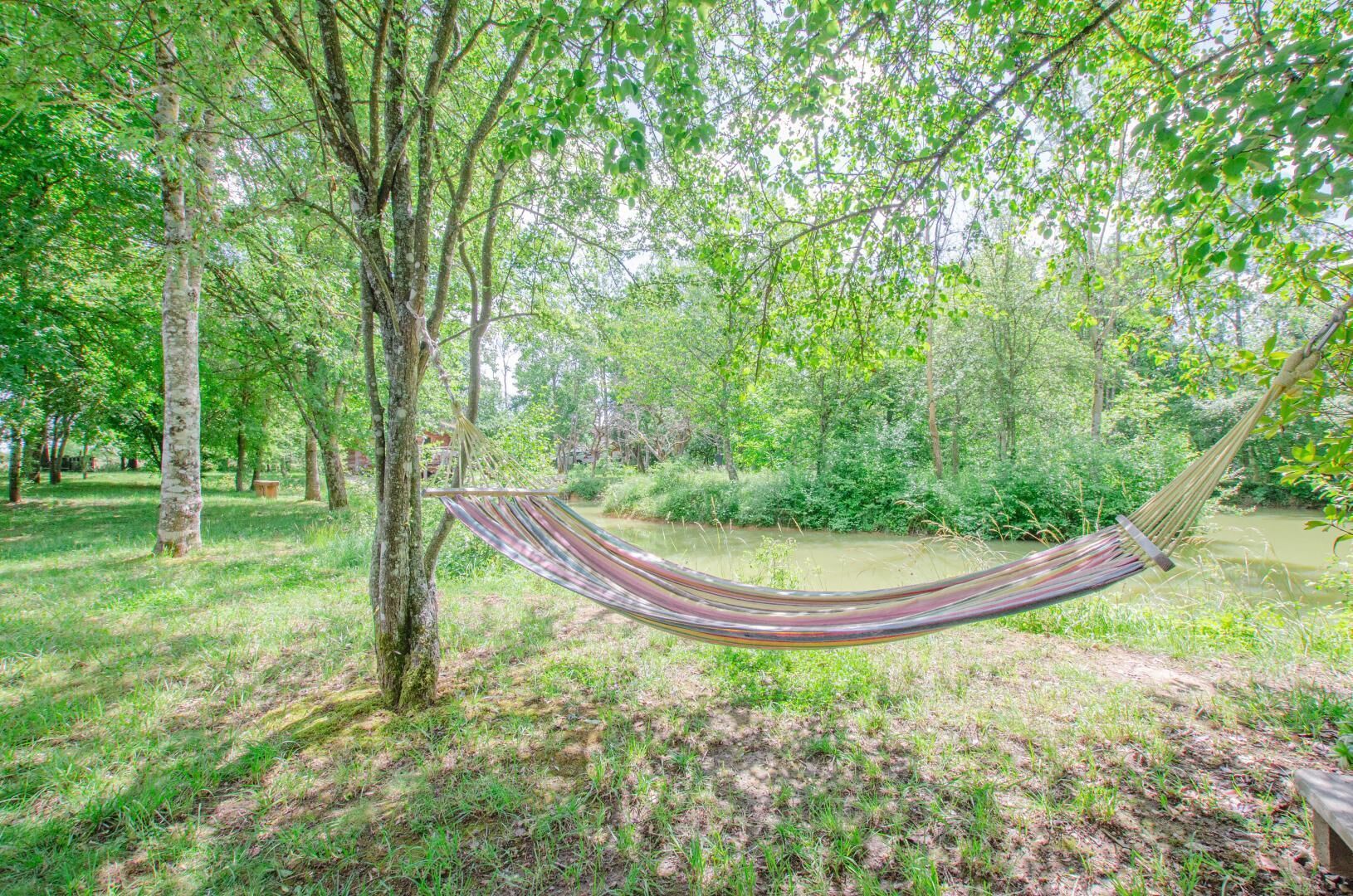 A hammock in a wooded area with a river in the background.