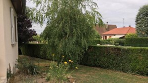 Ein gepflegter Garten mit verschiedenen Pflanzen, einem kleinen Steingarten und einem ordentlich geschnittenen Heckenstreifen.