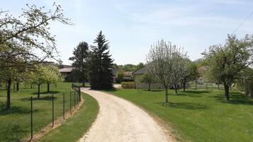 Terrein van de accommodatie