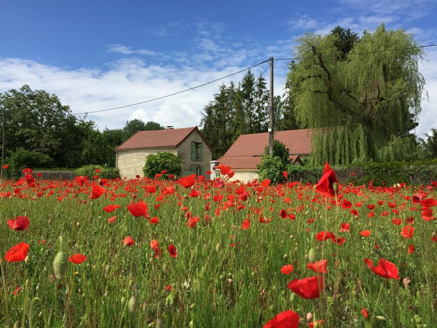 Overnatningsstedets område