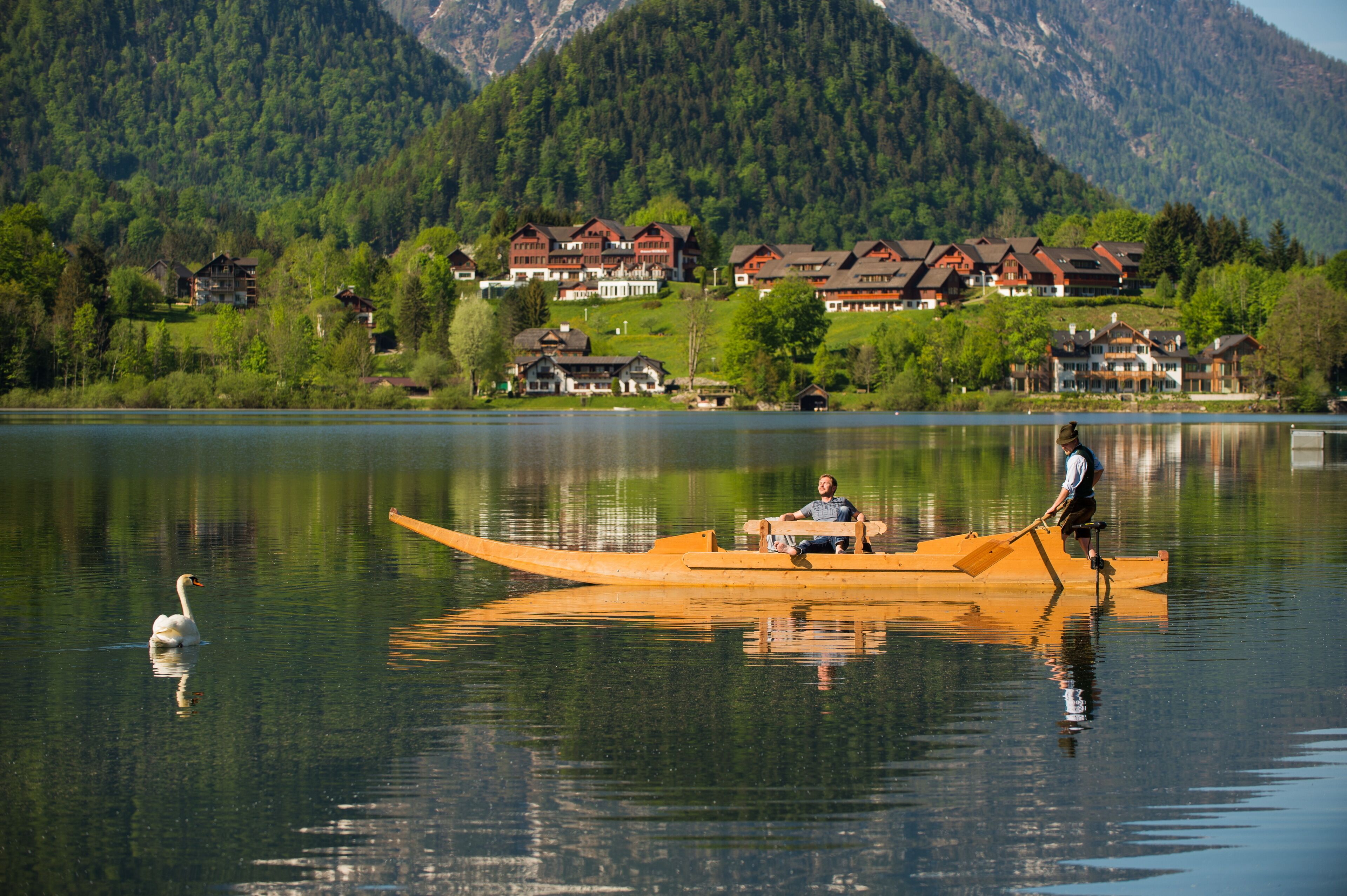 A lake with a wooden boat, a swan, and houses in the background.