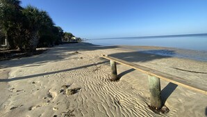 Une plage de sable bordée de palmiers et dotée d’une promenade en bois.