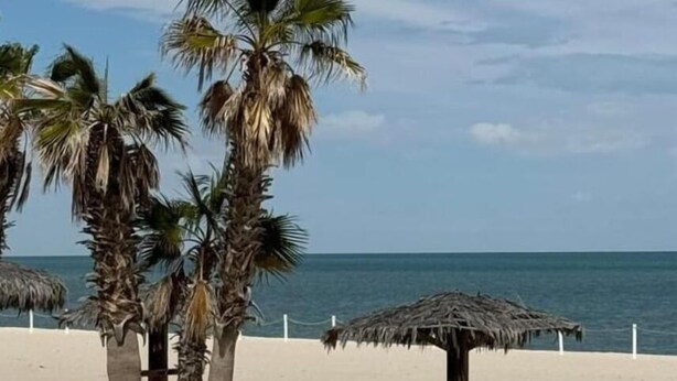 A beach with palm trees and thatched umbrellas. - Discover Casa Dooley: a spacious 3BR home in San Felipe, perfect for your getaway! (San Felipe)