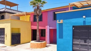 A row of colorful houses with a palm tree in the center.
