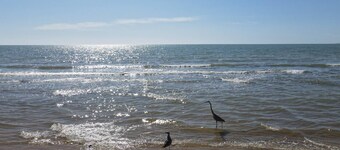 Condo 4, In town and steps to the beach and Malecon