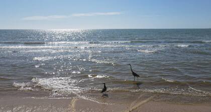 Condo 4, In town and steps to the beach and Malecon