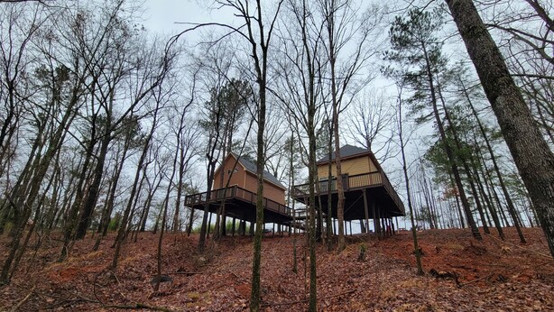 Two treehouses in a forest with a ground covered in fallen leaves. - Luxury Treehouse Eagles Nest (Clarks Hill)
