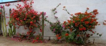 San Felipe Rental Studio 3 FREE WIFI AND CABLE TV
