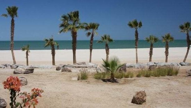 A beach with palm trees and rocks. - Condo 21-1 El Dorado Ranch (San Felipe)
