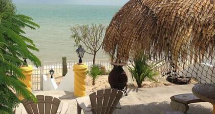 Casa Palmas - Beachfront San Felipe Vacation Rental House