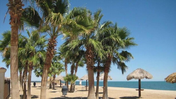 A beach with palm trees, a thatched umbrella, and a sandy area with a view of the sea. - Condo 37-3 El Dorado Ranch (San Felipe)