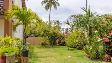 Jardim