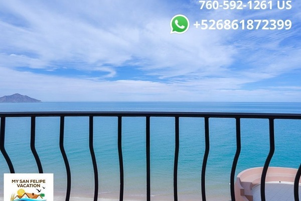 Vue depuis l’hébergement