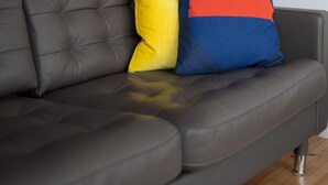 A grey sofa with two colorful pillows, a framed picture on the wall, and a dark blue wall. - Familienfreundlich - Farbenfroh - Außergewöhnlich (Braunlage)