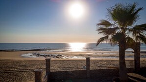 A beach with a palm tree and a stone wall.