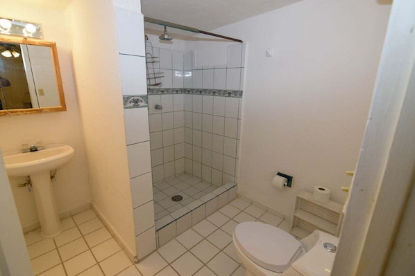 Une salle de bain Ă©quipĂ©e dâun lavabo, de toilettes, dâune douche et dâun miroir.