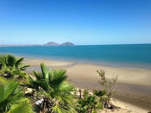 Una playa con agua azul cristalina, orilla de arena y palmeras.