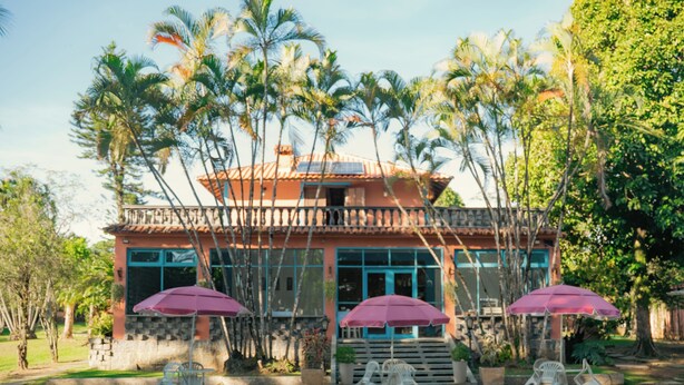 A pool area with lounge chairs and umbrellas, a building with a balcony, and palm trees. - Pousada Flor De Penedo (Itatiaia)