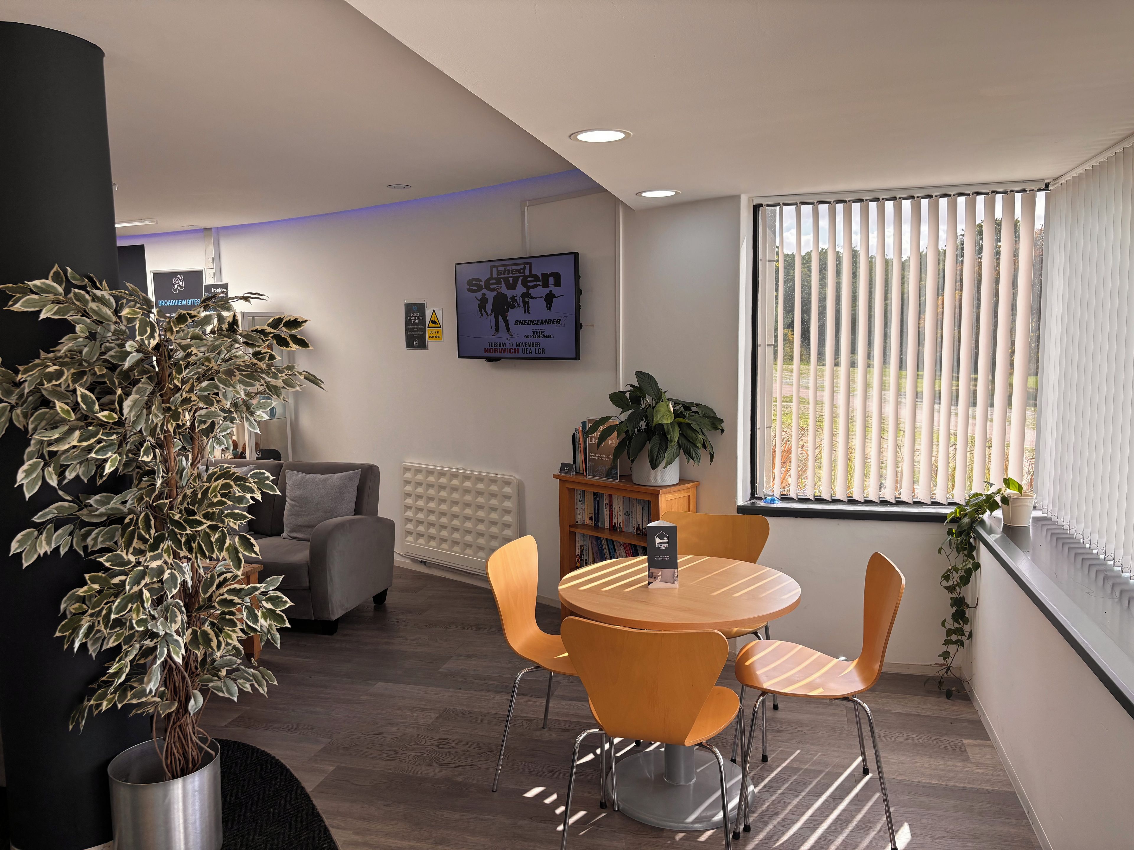 A modern room with a round table, two chairs, a potted plant, a radiator, and a window with blinds.